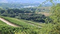 Vineyard and rollling hills on a sunny day by the Moselle, Luxembourg