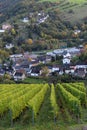 Vineyard in Saarburg, Germany. View from the hill with rows of grapes plants on the town of Saarburg.