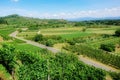 vineyard scenery at Ihringen Kaiserstuhl Germany Royalty Free Stock Photo