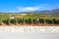 Vineyard in Sierre, Valais, Switzerland Royalty Free Stock Photo