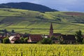 VINEYARD AND SMALL VILLAGE IN ALSACE - FRANCE Royalty Free Stock Photo