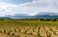 Vineyard in Spain with dramatic cloud catching against a mountain in the background. Royalty Free Stock Photo