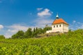 Vineyard of st.Klara near Chateau Troja, Prague, Czech Republic Royalty Free Stock Photo