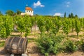 Vineyard of st.Klara near Chateau Troja, Prague, Czech Republic Royalty Free Stock Photo