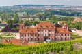 Vineyard of st.Klara near Chateau Troja, Prague, Czech Republic Royalty Free Stock Photo