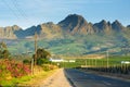 Vineyard at Stellenbosch winery with mountains Royalty Free Stock Photo