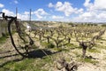 Vineyard, sun, solar and wind energy, Cyprus