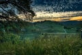 Vineyard at Sunrise Royalty Free Stock Photo