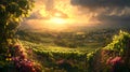 Vineyard Sunset, Rain, Hills, Landscape, Winery Royalty Free Stock Photo