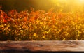 Vineyard tabletop design. Autumn design with vineyard and empty old wooden table. Autumn grapes harvest. Concept Wine background