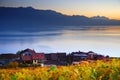 Vineyard terraces in the famous Lavaux wine region, Switzerland. Royalty Free Stock Photo