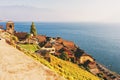 Vineyard terraces at Lake Geneva in autumn