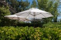 Vineyard umbrellas, outdoor wine tasting