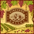 Vineyard Valley