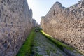 vineyard with vesuvius volcano background in pompeii archeological park Royalty Free Stock Photo
