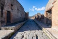 vineyard with vesuvius volcano background in pompeii archeological park