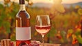 Vineyard Vibes: Savoring RosÃÂ© Wine Surrounded by Autumn\'s Beauty