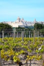 Mdina Citadel and vineyard, Malta. Royalty Free Stock Photo
