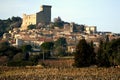 Vineyard and village of ChÃÂ¢teauneuf-du-Pape