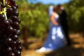 Vineyard wedding I