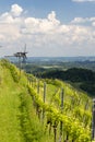 vineyard with windmill called klapotetz in south of Styria, Austria Royalty Free Stock Photo