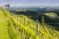 vineyard with windmill called klapotetz in south of Styria, Austria Royalty Free Stock Photo