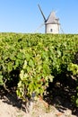 vineyard with windmill near Blaignan, Bordeaux Region, France Royalty Free Stock Photo