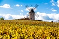 vineyard with windmill near Chenas, Beaujolais, Rhone-Alpes, Fra Royalty Free Stock Photo