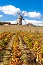 vineyard with windmill near Chenas, Beaujolais, Rhone-Alpes, Fra Royalty Free Stock Photo