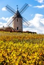 vineyard with windmill near Chenas, Beaujolais, Rhone-Alpes, Fra Royalty Free Stock Photo