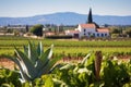 vineyard windmill with the resort in the background Royalty Free Stock Photo