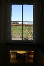 Vineyard from a window Royalty Free Stock Photo