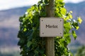 Vineyard wine grape variety sign