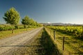 Vineyard, winery New Zealand, typical Marlborough landscape with vineyards and roads, hills and mountains Royalty Free Stock Photo