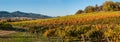 Vineyard and winery in rural area Royalty Free Stock Photo