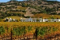 Vineyard and Winery, Sonoma Royalty Free Stock Photo