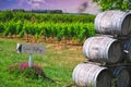 Vineyard Winery Tasting with Barrels Royalty Free Stock Photo