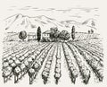 Vineyard and winery. vector sketch drawn by hand