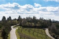 Vineyard Winter Landscape Empty Green Beautiful Blue Skies Warm Royalty Free Stock Photo