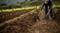 A vineyard worker carefully tills the soil between rows of gvines using natural and biodynamic ods to control weeds and