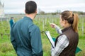 vineyard workers pointing at something Royalty Free Stock Photo