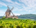 Vineyard or yard of vines and the eponymous windmill of famous french red wine at the background. Romaneche-Thorins, France Royalty Free Stock Photo