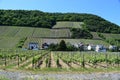 Rech, Germany - 05 28 2020: vineyards in Ahr valley at village Rech