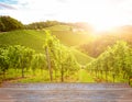 Vineyards along the South Styrian Wine Road in autumn, Austria Europe