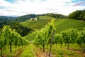 Vineyards along the South Styrian Wine Road in autumn, Austria