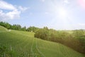 Vineyards along the South Styrian Wine Road in summer, Austria