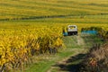 Vineyards of alsace - close to small village Hunawihr, France Royalty Free Stock Photo