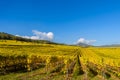 Vineyards of alsace - close to small village Hunawihr, France Royalty Free Stock Photo