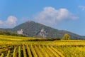 Vineyards of alsace - close to small village Hunawihr, France Royalty Free Stock Photo