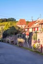 Vineyards by Alsace